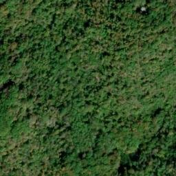 Satellite imagery of Wild Flower Ridge, US