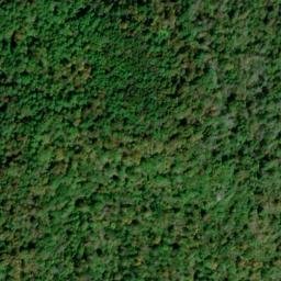 Satellite imagery of Wild Flower Ridge, US
