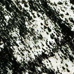 Satellite imagery of Roosevelt Point, US
