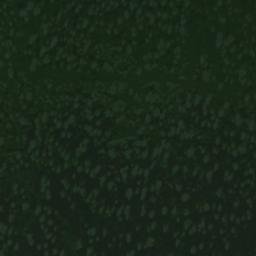 Satellite imagery of Stanford Point, US