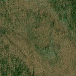 Satellite imagery of Piney Point, US