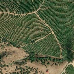 Satellite imagery of survey_point, PT
