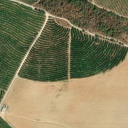 Satellite imagery of survey_point, PT