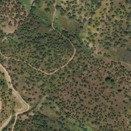 Satellite imagery of survey_point, PT