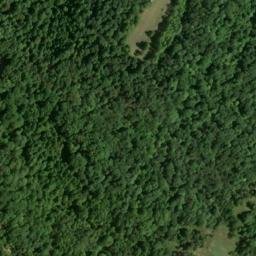 Satellite imagery of Buzzard Cliff, US