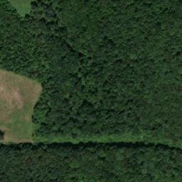 Satellite imagery of Stone Face, US