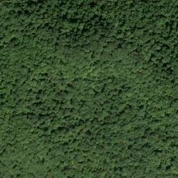 Satellite imagery of Buzzard Roost, US