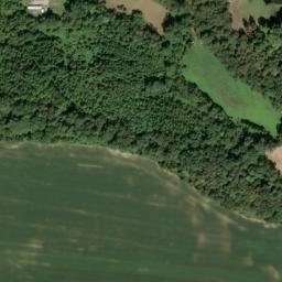 Satellite imagery of Buzzard Roost, US