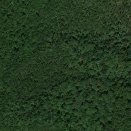 Satellite imagery of Stone Face, US