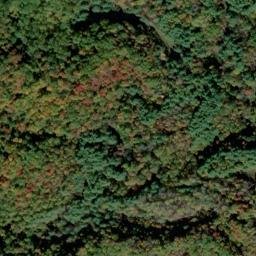 Satellite imagery of Mitchell Ridge, US