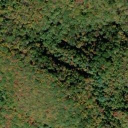 Satellite imagery of Trace Ridge, US
