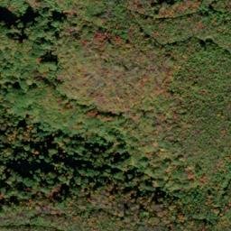 Satellite imagery of Trace Ridge, US