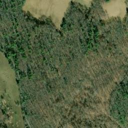 Satellite imagery of Fork Ridge, US