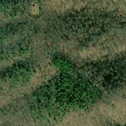 Satellite imagery of Fork Ridge, US