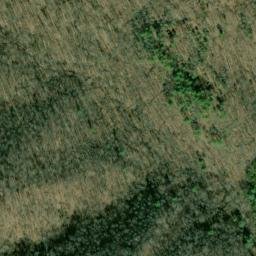 Satellite imagery of Fork Ridge, US