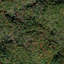 Satellite imagery of Chestnut Ridge, US