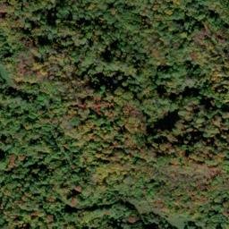 Satellite imagery of Chestnut Ridge, US