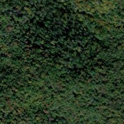 Satellite imagery of Brushy Ridge, US