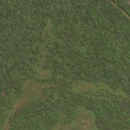 Satellite imagery of Swoopes Knobs, US