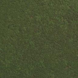Satellite imagery of Middle Mountain, US