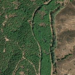 Satellite imagery of survey_point, PT