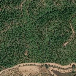 Satellite imagery of survey_point, PT