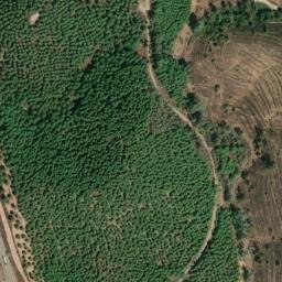 Satellite imagery of survey_point, PT