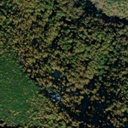 Satellite imagery of Gunter Ridge, US