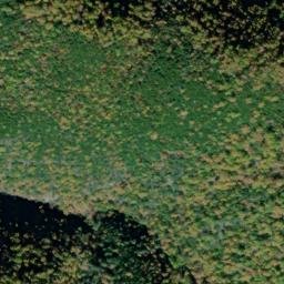 Satellite imagery of Gunter Ridge, US