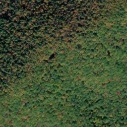 Satellite imagery of Shewey Ridge, US