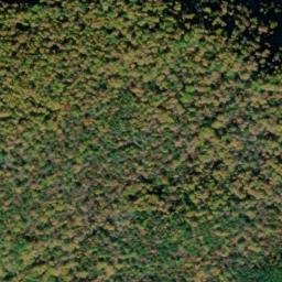 Satellite imagery of Gunter Ridge, US