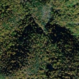 Satellite imagery of Gunter Ridge, US