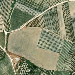 Satellite imagery of survey_point, ES