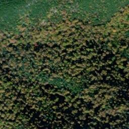 Satellite imagery of Gunter Ridge, US