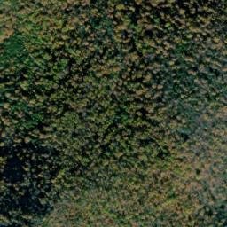 Satellite imagery of Gunter Ridge, US