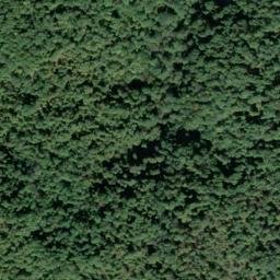 Satellite imagery of Cecil Ridge, US