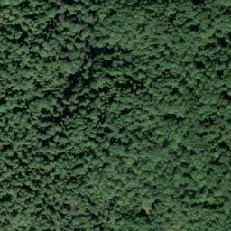 Satellite imagery of Cecil Ridge, US