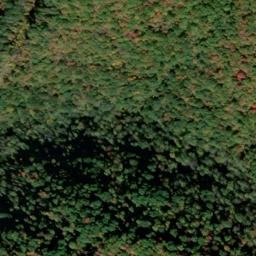 Satellite imagery of Ivy Ridge, US