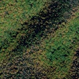 Satellite imagery of Piney Ridge, US
