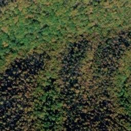 Satellite imagery of Piney Ridge, US