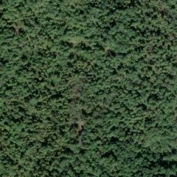 Satellite imagery of Cecil Ridge, US