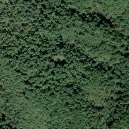 Satellite imagery of Cecil Ridge, US