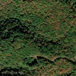 Satellite imagery of Ivy Ridge, US