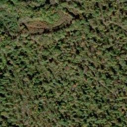 Satellite imagery of Tommy Ridge, US