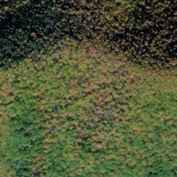 Satellite imagery of Piney Ridge, US