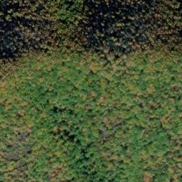 Satellite imagery of Piney Ridge, US