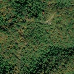 Satellite imagery of Joe Point, US
