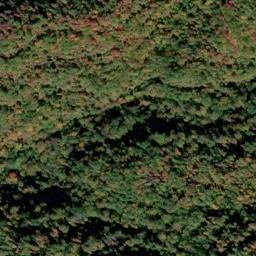 Satellite imagery of Ivy Ridge, US