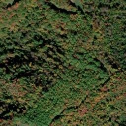 Satellite imagery of Ivy Ridge, US