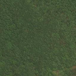 Satellite imagery of River Ridge, US